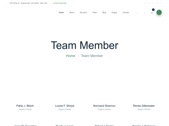 team screenshot