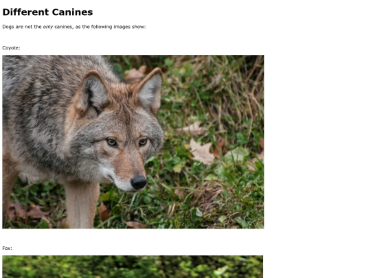 Canines screenshot
