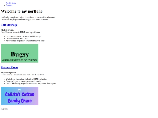 NYPL/portfolio-page screenshot