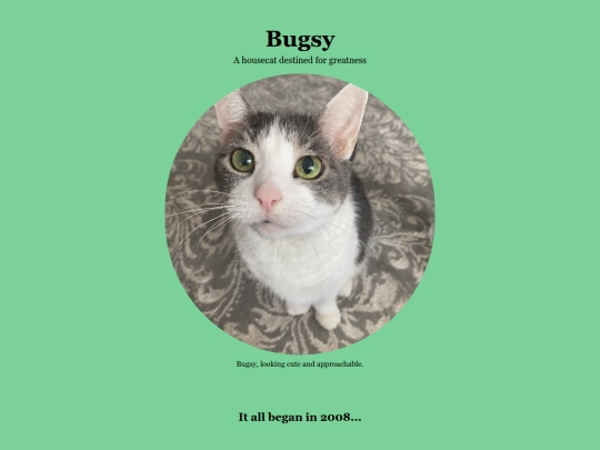 NYPL/tribute-page screenshot