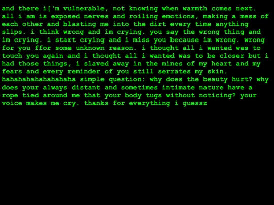vuln screenshot