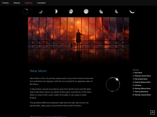 gallery screenshot