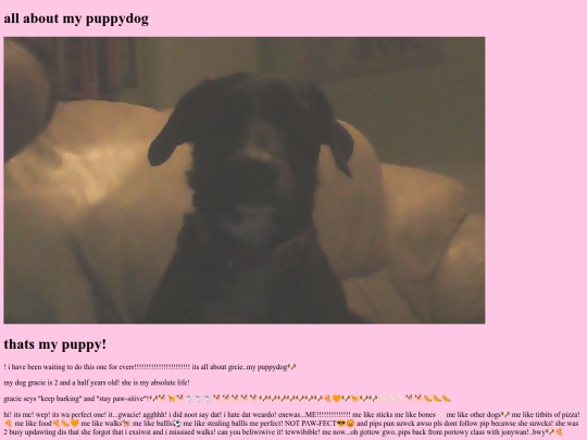 mydog screenshot