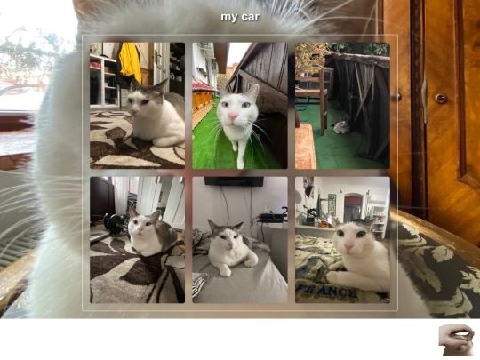 azlo/cat/cat screenshot