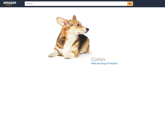 dog screenshot