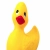 FR Web avatar