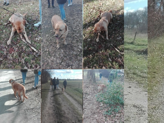 joep_fotos screenshot