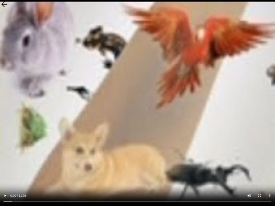 wiiroom/illustratedbookofearth/3 screenshot
