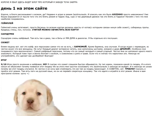 blog screenshot