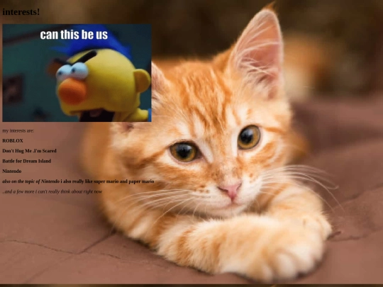 interests screenshot