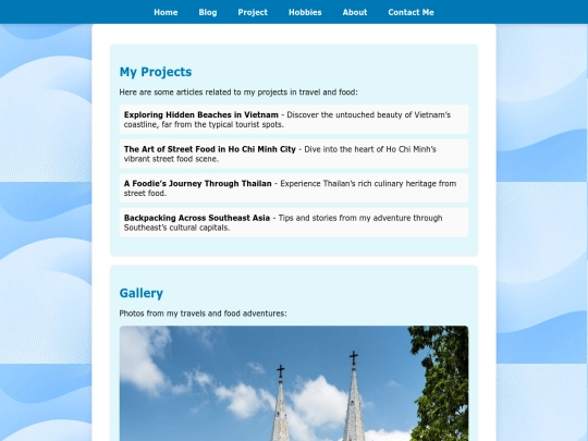 Project screenshot