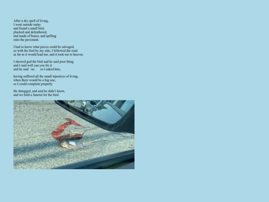 thesis_test/copperbird screenshot