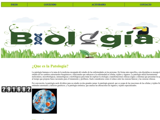 proyectohtml/patologia screenshot