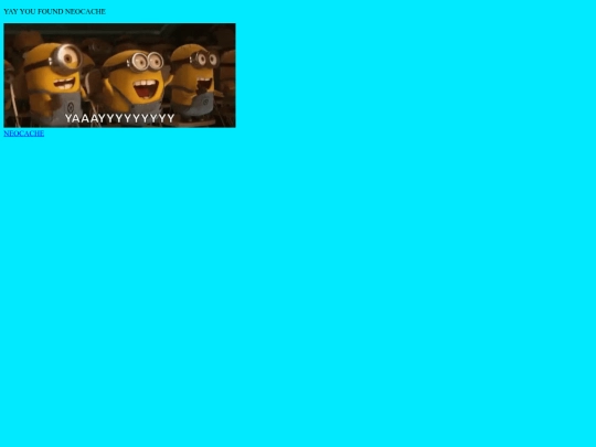 NEOCACHE screenshot
