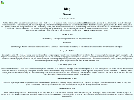 blog screenshot
