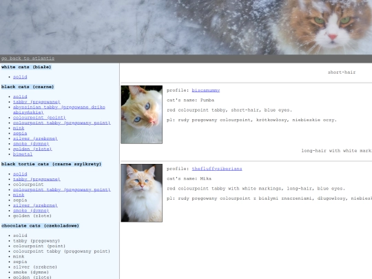 kitties/red-point-tabby screenshot