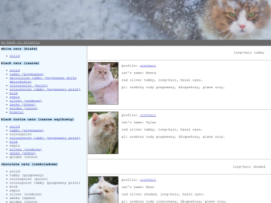 kitties/red-silver screenshot