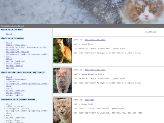 kitties/red-tabby screenshot