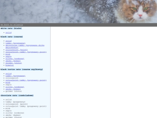 kitties/template screenshot