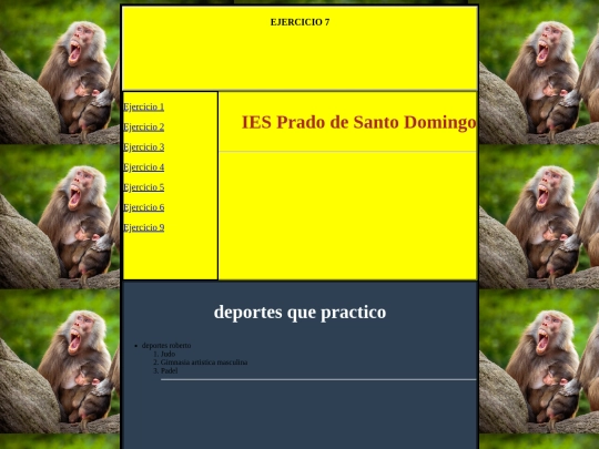 ejercicio9 screenshot