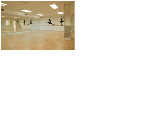 Practica11/salaballet screenshot