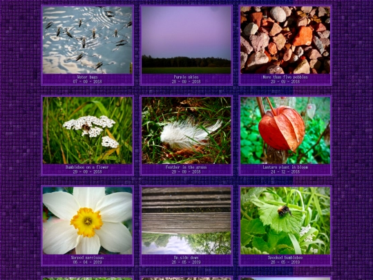 misc-photos screenshot