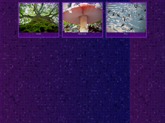 photo-categories-2 screenshot