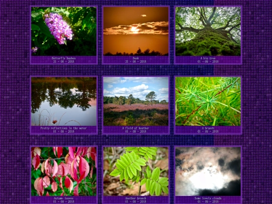 pictures screenshot