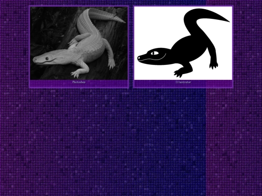 portfolio screenshot