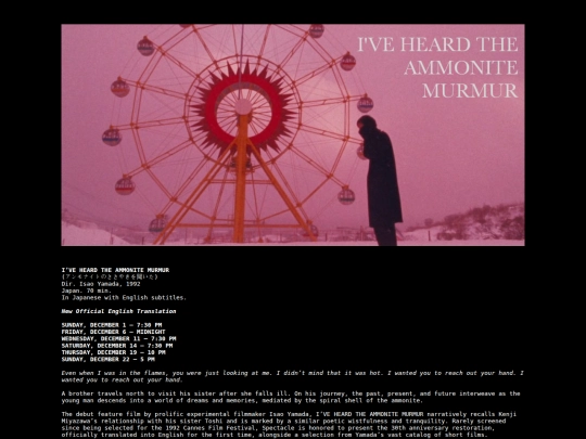 catalog/ammonite screenshot