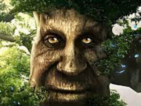 wisetree screenshot