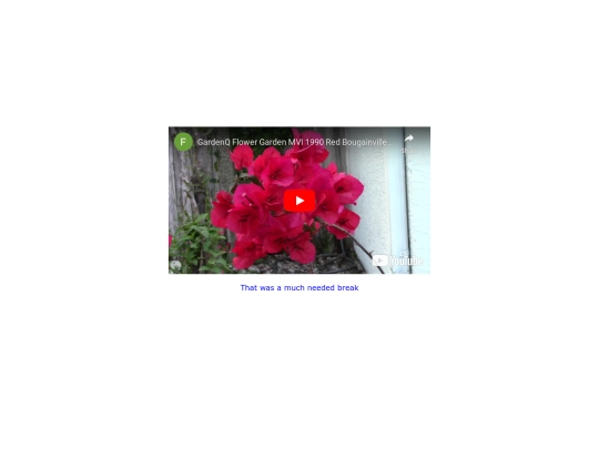 flowers screenshot