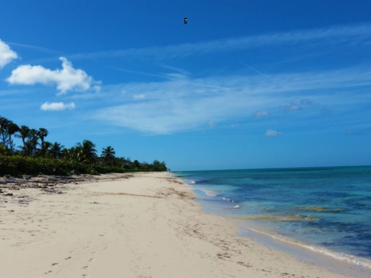 morningbeach screenshot