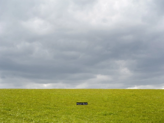 thefield screenshot