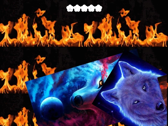 wolfzone screenshot