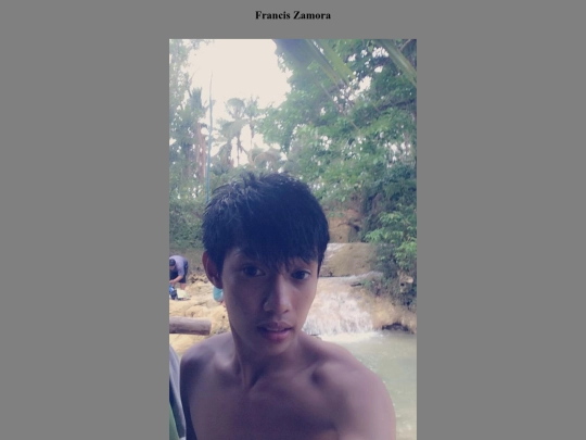 francis screenshot
