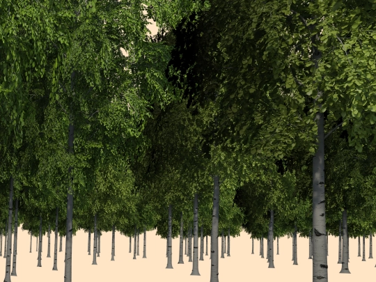 maurtue screenshot