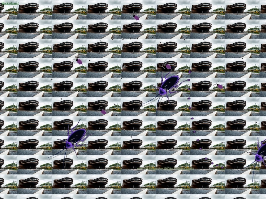 roach screenshot