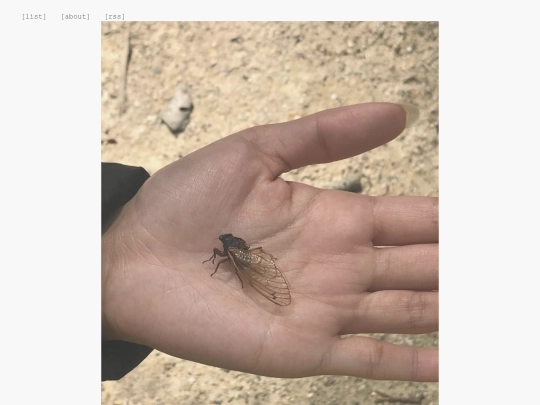 posts/2024-06-27 screenshot