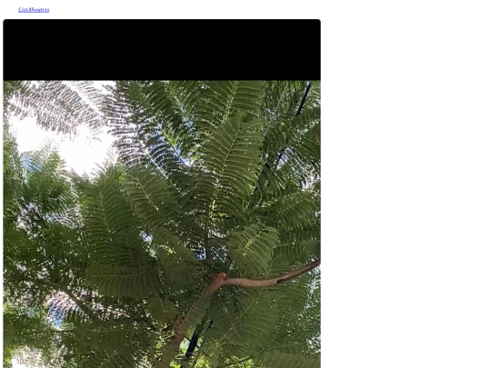 posts/2025-10-10_2 screenshot