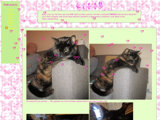 kitty screenshot