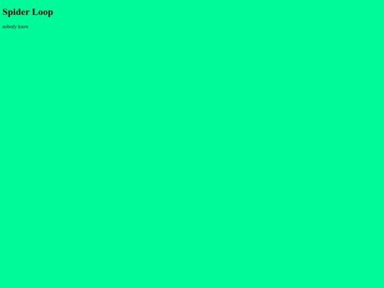 spiderloop screenshot