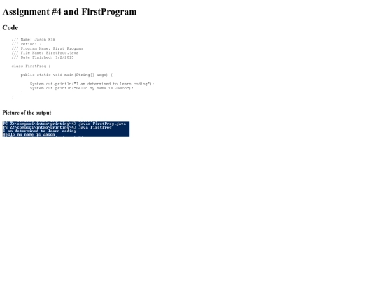 intro/printing/4/prog4 screenshot