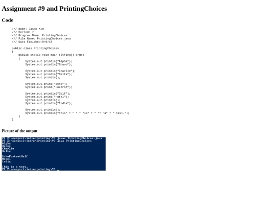 intro/printing/9/prog9 screenshot
