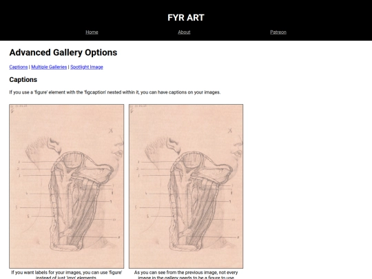 alternateGalleries screenshot