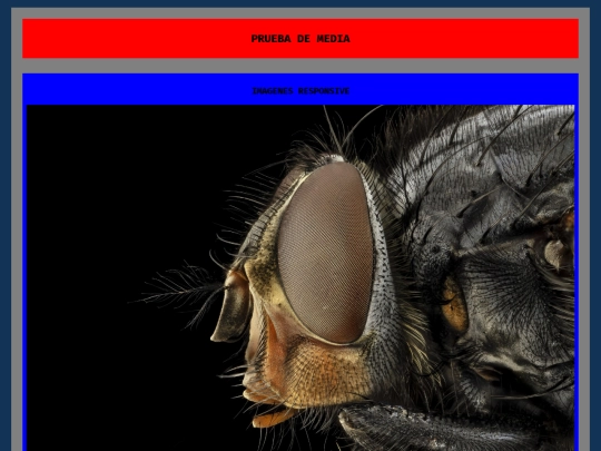 Entregas/media screenshot
