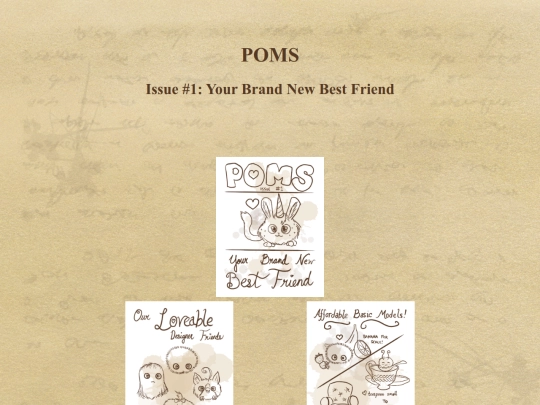 library/zines/poms-1 screenshot