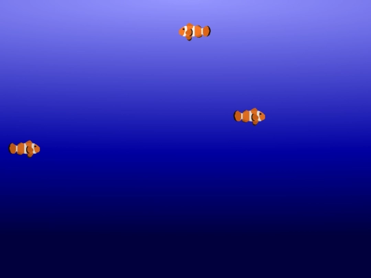 site-pages/aquarium screenshot