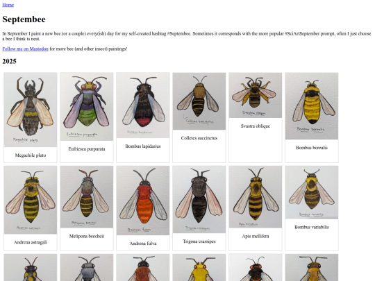 Septembee screenshot