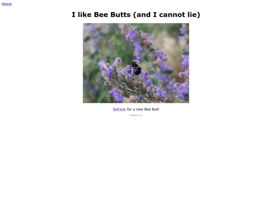bee_butts screenshot